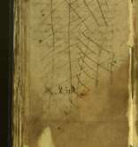 NIAB_LA_1753_1_4_078b