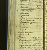 NIAB_LA_1768_1_1_027b