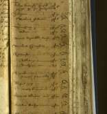 NIAB_LA_1768_1_1_119