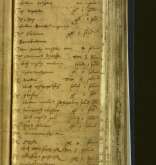 NIAB_LA_1768_1_1_132