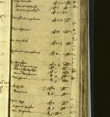 NIAB_LA_1768_1_1_157
