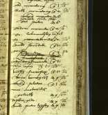 NIAB_LA_1768_1_1_173