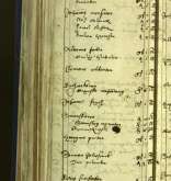 NIAB_LA_1768_1_1_185b