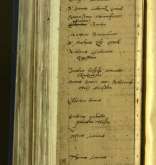 NIAB_LA_1768_1_1_204b