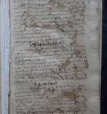 NIAB_LA_1768_1_10_009