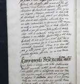 NIAB_LA_1768_1_11_371b