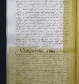 NIAB_LA_1768_1_2_118b