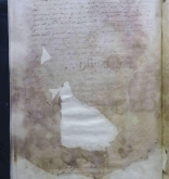 NIAB_LA_1768_1_3_146b