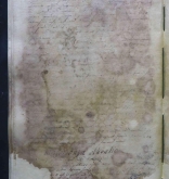 NIAB_LA_1768_1_3_167b
