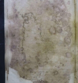 NIAB_LA_1768_1_3_174b