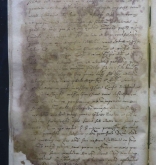 NIAB_LA_1768_1_3_185b