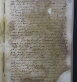 NIAB_LA_1768_1_3_193