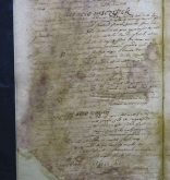 NIAB_LA_1768_1_3_204b