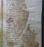 NIAB_LA_1768_1_3_213