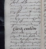 NIAB_LA_1768_1_8_517b
