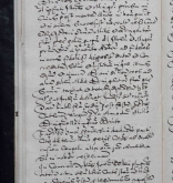NIAB_LA_1768_1_9_0735b