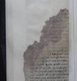 NIAB_LA_1790_1_1_0775b