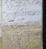 NIAB_LA_1815_1_5_142